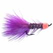 egg sucking leech purple